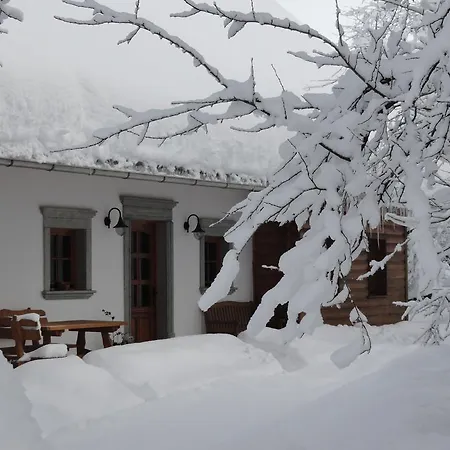Farm stay Farm Dolinar Krainer